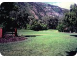 Scanned-image-111