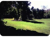 Scanned-image-112