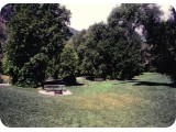 Scanned-image-113